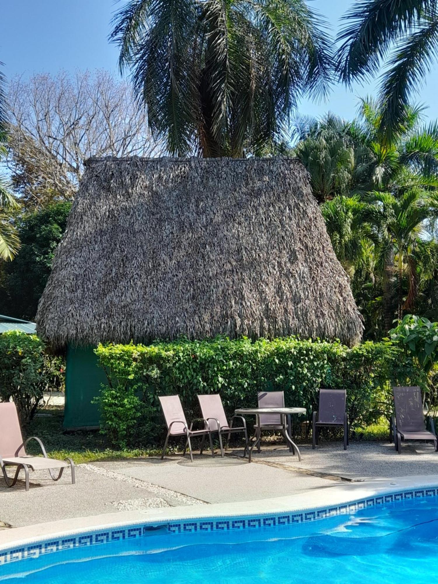 Mal Pais Surf Camp Hotel Playa Santa Teresa  Exterior foto