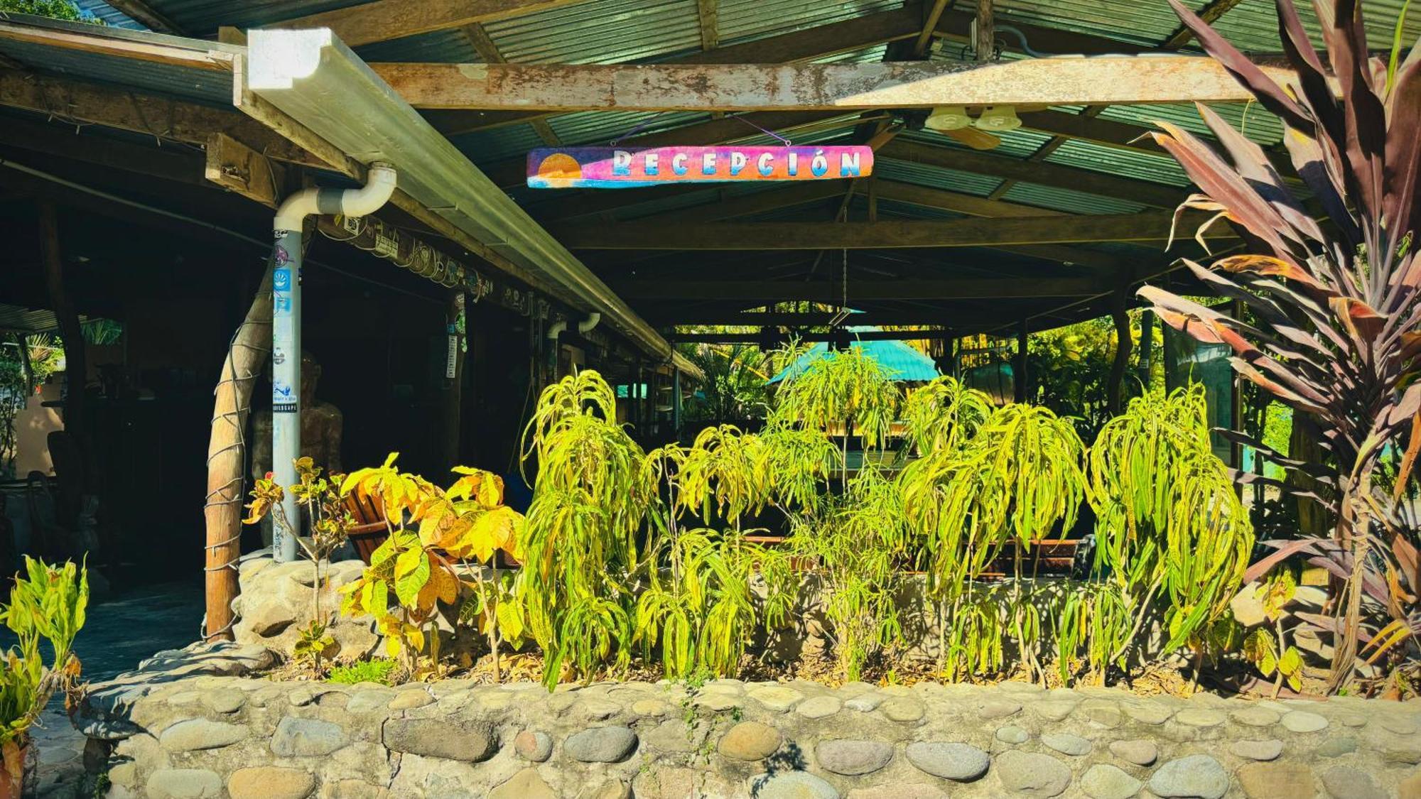 Mal Pais Surf Camp Hotel Playa Santa Teresa  Exterior foto