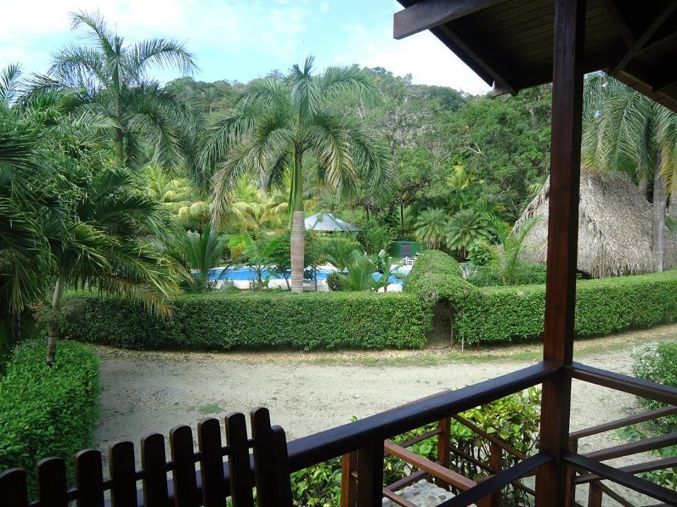 Mal Pais Surf Camp Hotel Playa Santa Teresa  Exterior foto