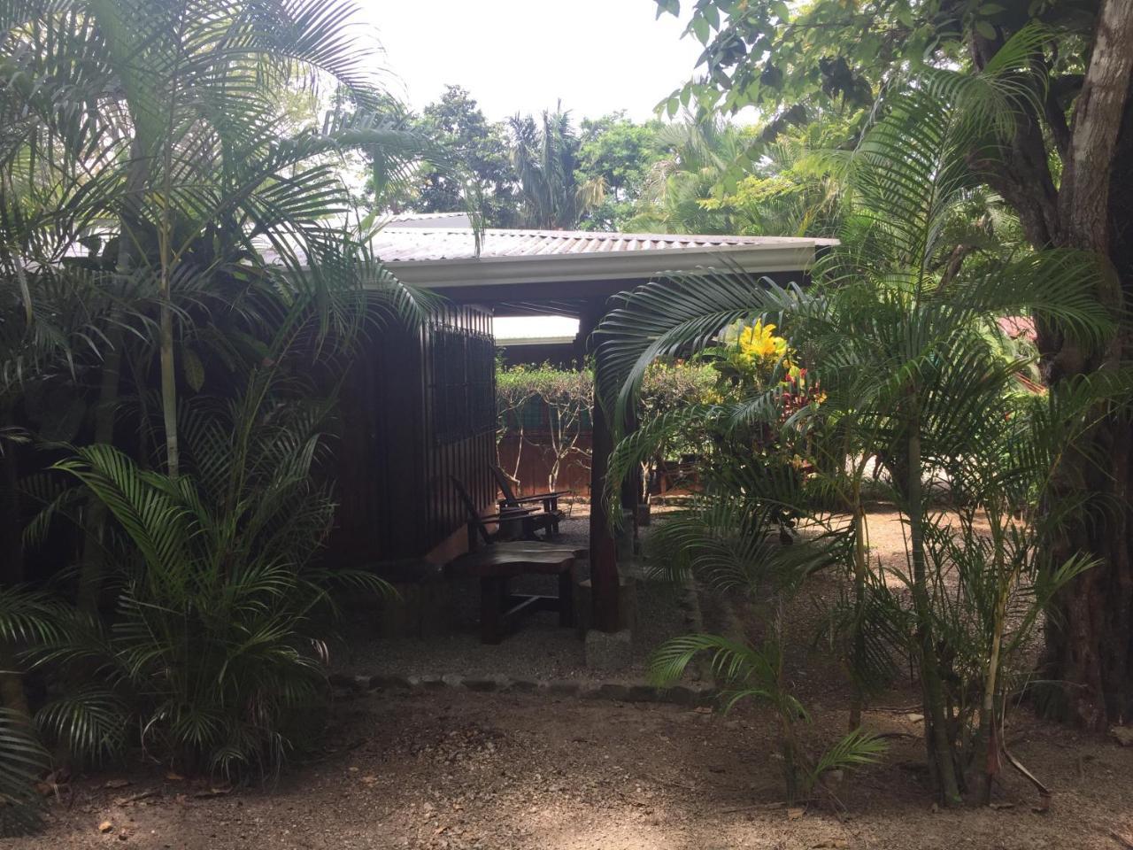 Mal Pais Surf Camp Hotel Playa Santa Teresa  Exterior foto